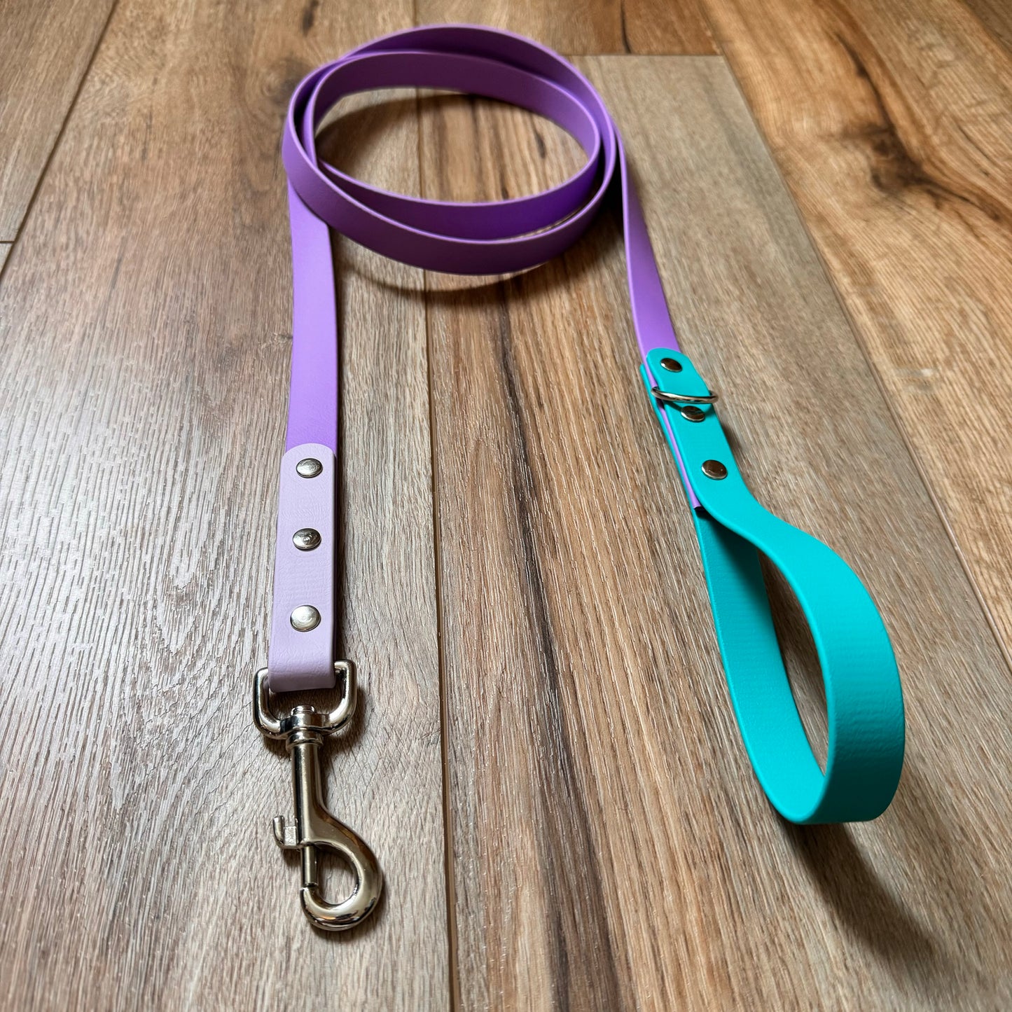 Lavender, Purple, and Teal BioThane® Dog Leash