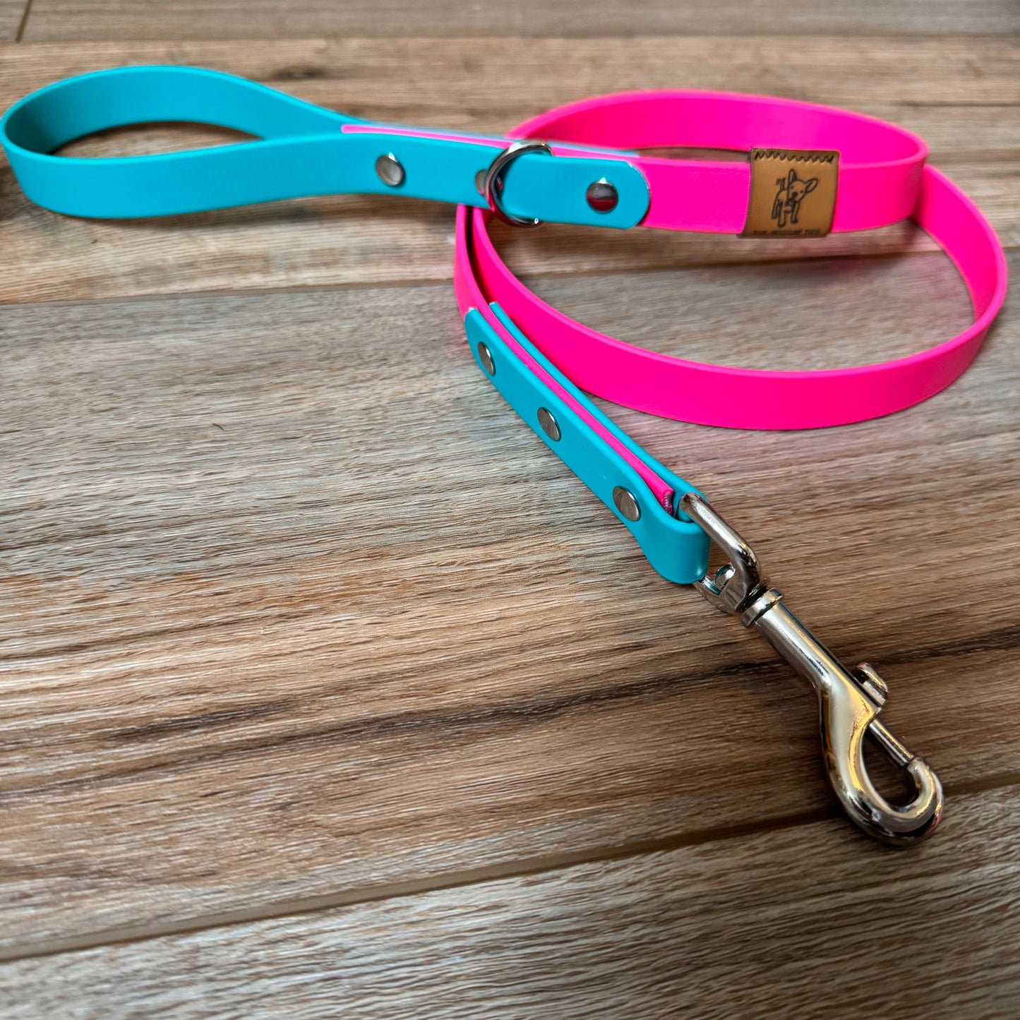 Pink and Teal BioThane® Dog Leash