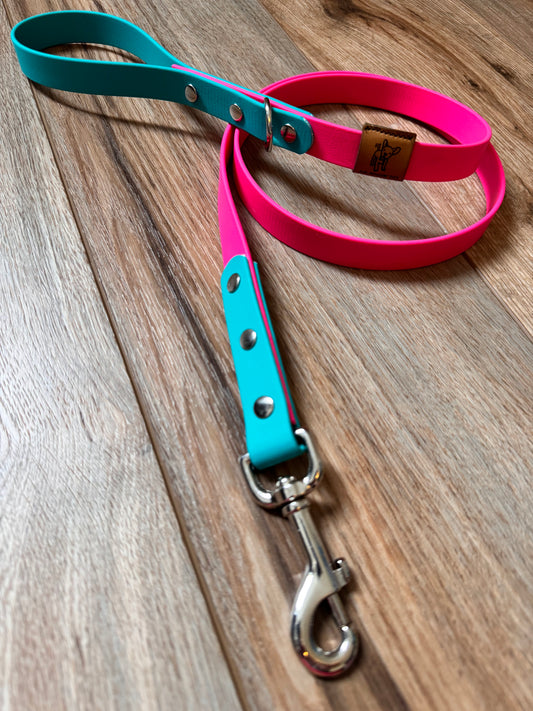 Pink and Teal BioThane® Dog Leash