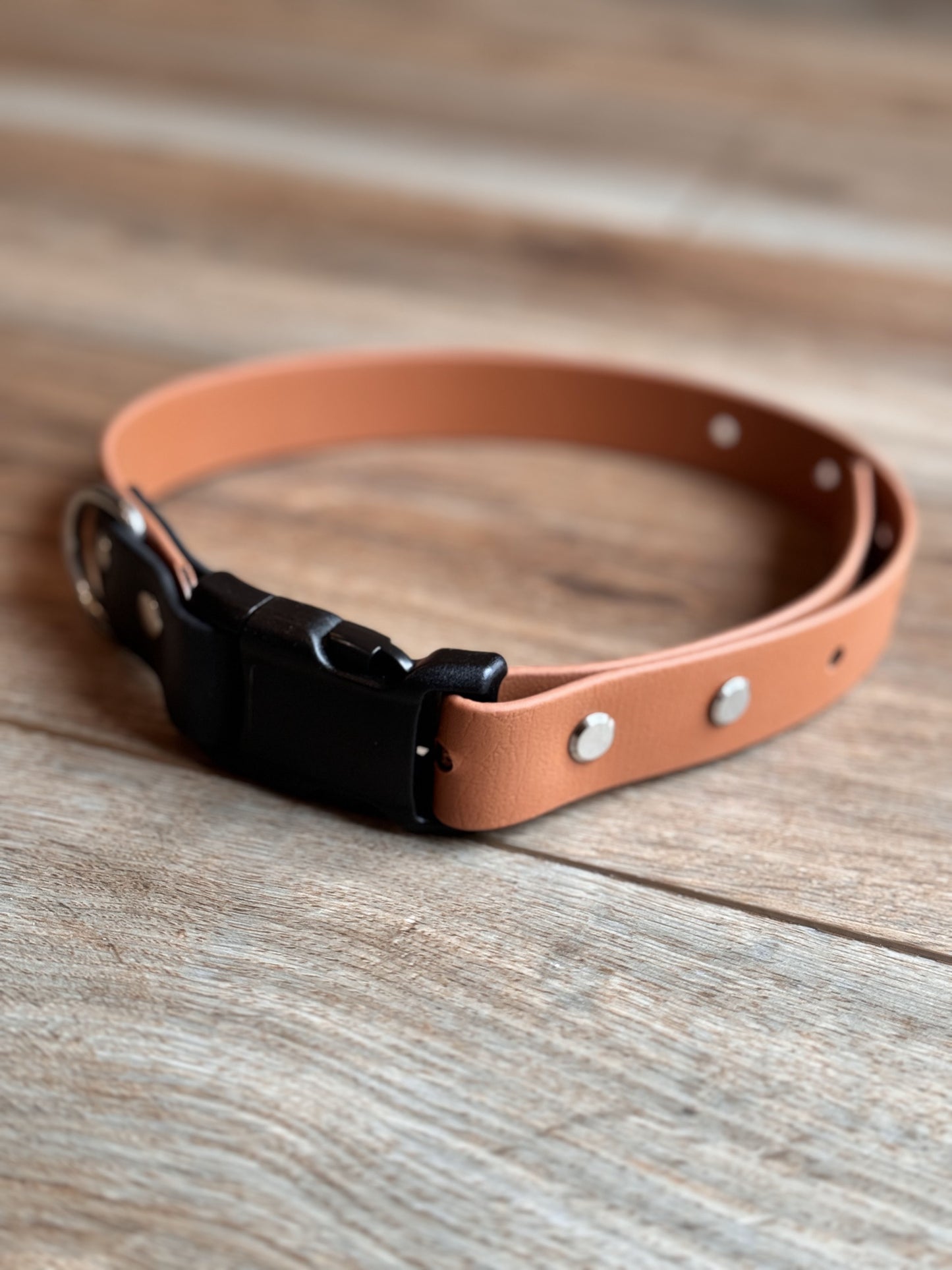 BioThane® Adjustable Collar-Custom Colors