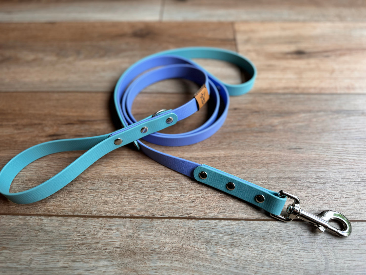 BioThane® Everyday Leash with Traffic Handle-Custom Colors